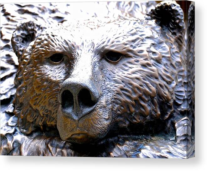 Chicago Bears Canvas Print featuring the photograph Grizzly 3 by Norma Brock