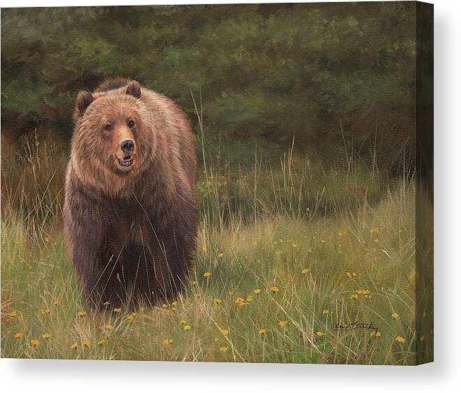 Grizzly Canvas Print featuring the painting Grizzly by David Stribbling