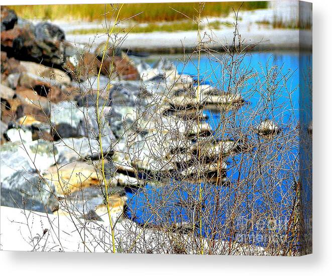 Hereford Canvas Print featuring the photograph Hereford Inlet Rock Formations by Pamela Hyde Wilson