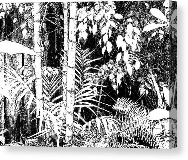 Stag Horn Fern Canvas Print featuring the photograph Hidden Glade by Angela Treat Lyon
