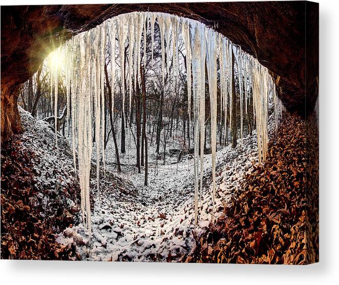 2012 Canvas Print featuring the photograph Hinding from winter by Robert Charity