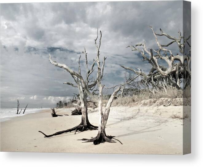 Landscape Canvas Print featuring the photograph Hobcaw Boneyard Beach 2 by Deborah Smith