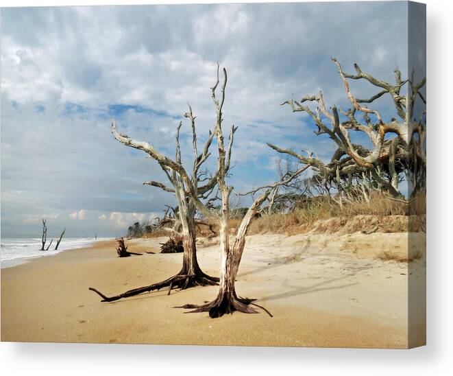 Landscape Canvas Print featuring the photograph Hobcaw Boneyard Beach by Deborah Smith
