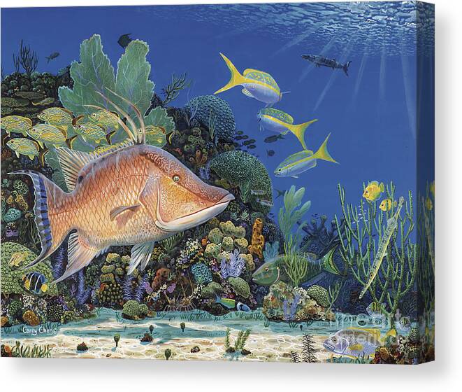 Hogfish Canvas Print featuring the painting Hog Heaven Re005 by Carey Chen