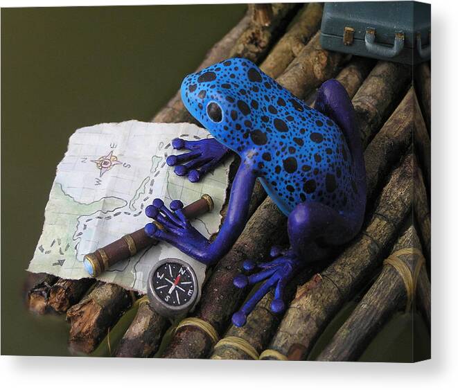 Frog Canvas Print featuring the mixed media Huckleberry Frog II by Jennifer Montgomery