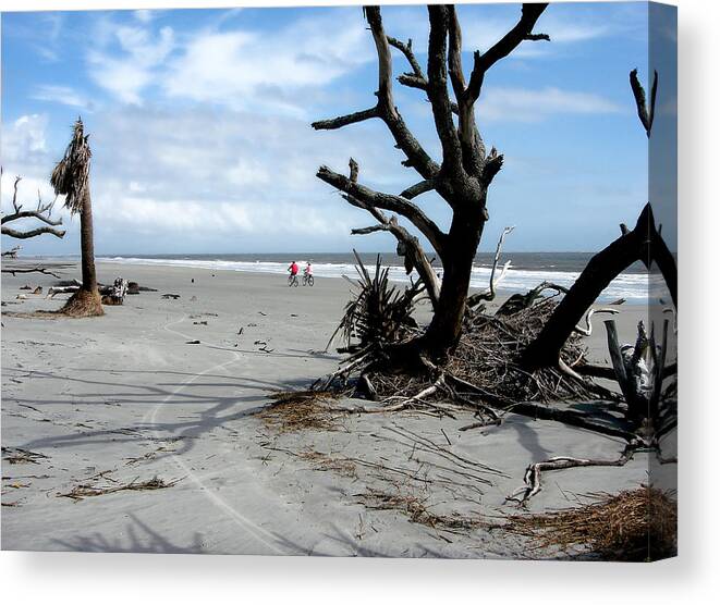 Island Canvas Print featuring the photograph Hunting Island - 5 by Ellen Tully