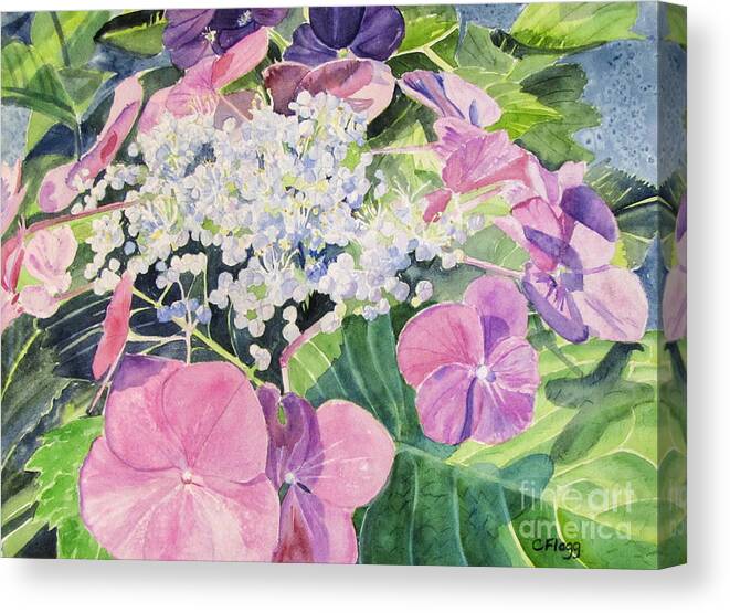 Original Watercolor Canvas Print featuring the painting Hydrangea Blooming by Carol Flagg
