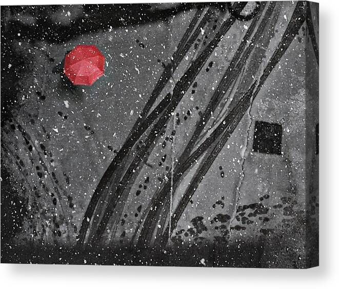 Umbrella Canvas Print featuring the photograph If On A Winter's Day by Nicoleta Gabor