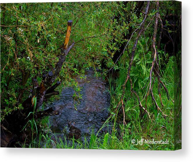 Mountains Canvas Print featuring the photograph Isabel creek by Jeff Niederstadt