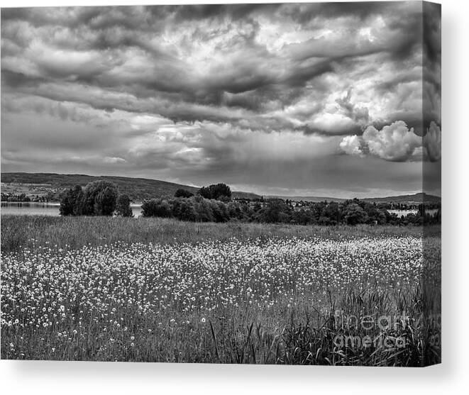 Landscape Canvas Print featuring the photograph Stormy weather by Bernd Laeschke