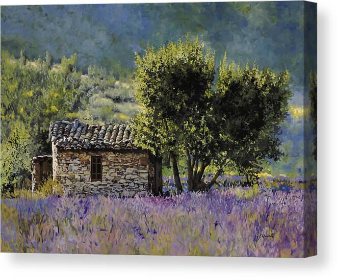 Lavender Canvas Print featuring the painting Lala Vanda by Guido Borelli