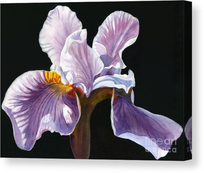 Lavender Irises Canvas Print featuring the painting Lavender iris on Black by Sharon Freeman