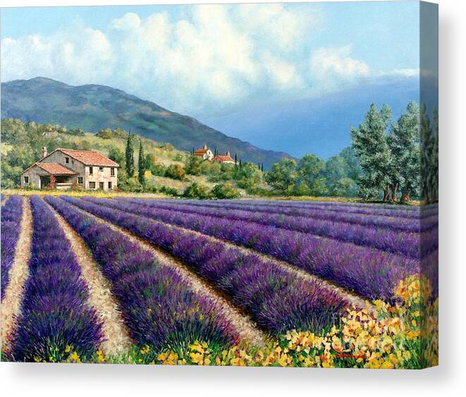 Provence Canvas Print featuring the painting Lavender by Michael Swanson