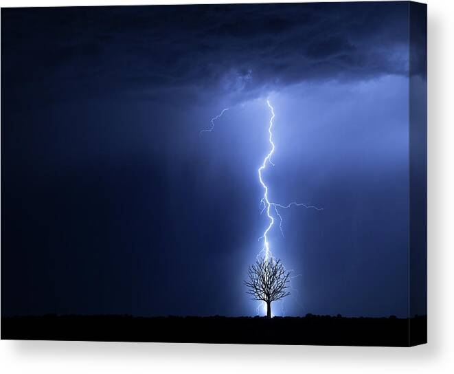 Damaged Canvas Print featuring the photograph Lightning And Tree by Don Farrall