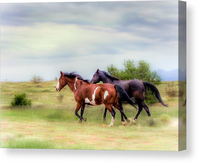 Horses Canvas Print featuring the photograph Like The Wind by Anna Rumiantseva