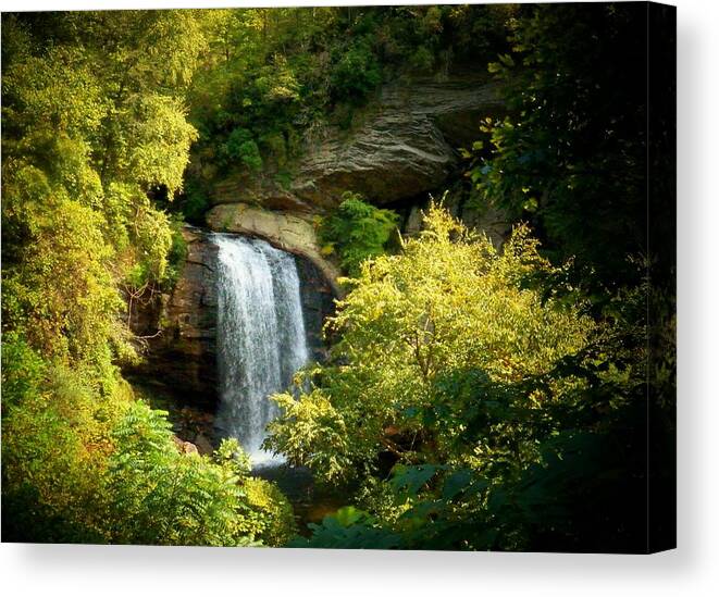 Looking Glass Falls Canvas Print featuring the photograph Looking Glass Falls by Joyce Kimble Smith
