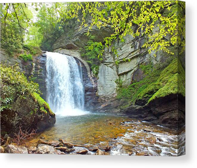 Duane Mccullough Canvas Print featuring the photograph Looking Glass Waterfall in the Spring 2 by Duane McCullough