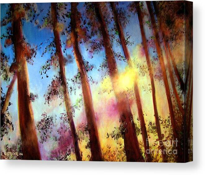 Trees Canvas Print featuring the painting Looking Through the Trees by Alison Caltrider