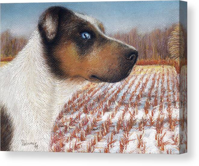 Dog Canvas Print featuring the painting Louisiana Catahoula Leopard Dog by Stephanie Woerner