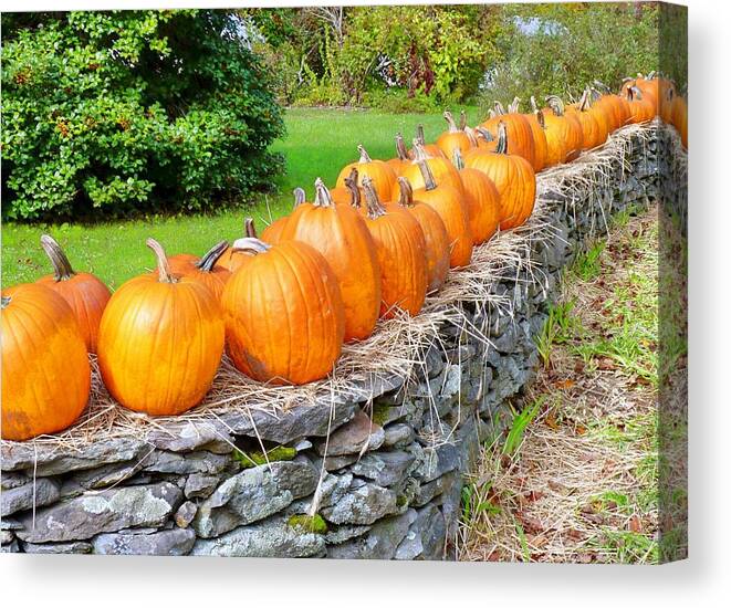 Autumn Canvas Print featuring the photograph March of the pumpkins by Janice Drew