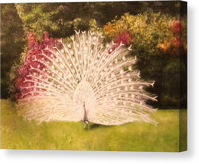 White Peacock Canvas Print featuring the painting Maria's White Peacock by Dalgis Edelson