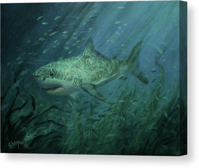 Shark Canvas Print featuring the painting Megadolon Shark by Tom Shropshire