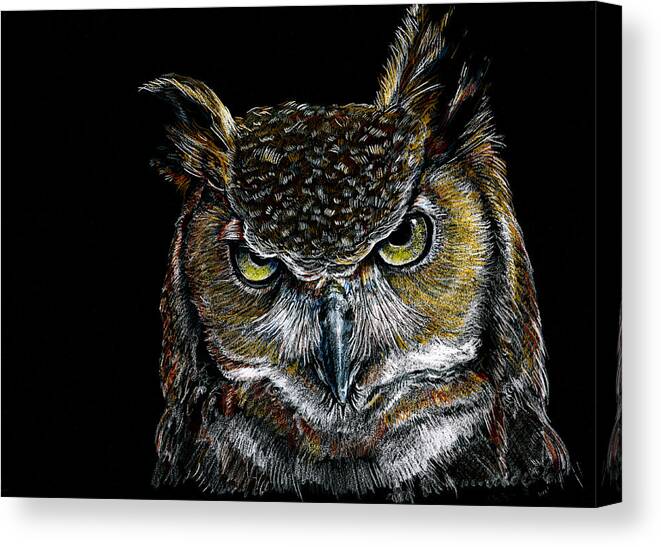 Wildlife Canvas Print featuring the drawing Mister Owl by William Underwood
