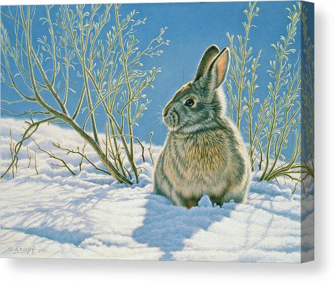 Wildlife Canvas Print featuring the painting Morning Sun by Paul Krapf