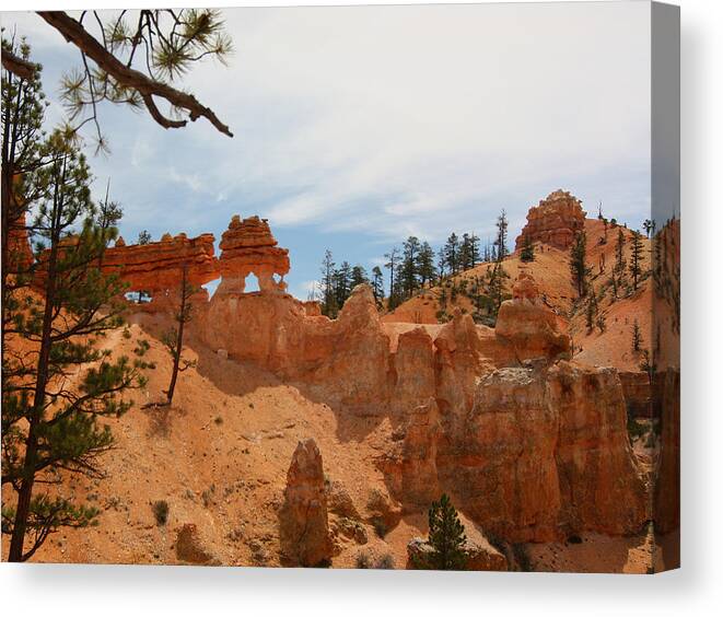 Bryce Canvas Print featuring the photograph Mossey Creek Trail Arches by Jean Clark