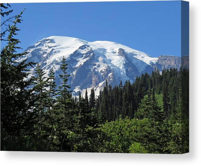 Mt Rainier Canvas Print featuring the photograph Washington's Mt. Rainier by E Faithe Lester