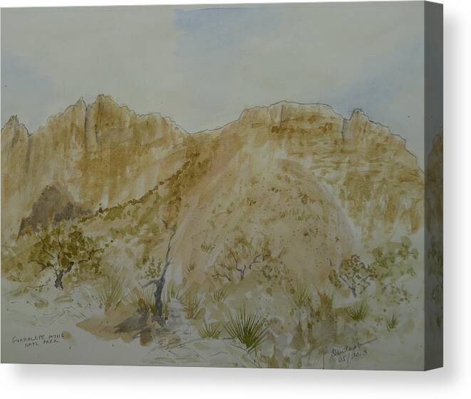 Guadalupe Mountains National Park Canvas Print featuring the painting Near the campsite by Joel Deutsch
