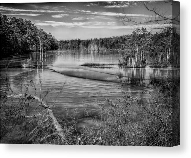 New Jersey Canvas Print featuring the photograph New Jersey Pinelands by Louis Dallara