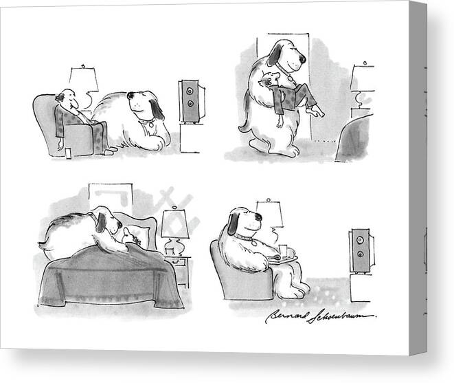 
Dog Puts Man To Bed: Series Of (4). A Man Is Asleep In His Armchair Canvas Print featuring the drawing New Yorker March 7th, 1988 by Bernard Schoenbaum