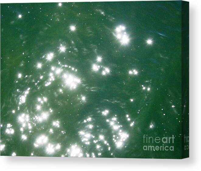 Ocean Canvas Print featuring the photograph Ocean Stars 1 by Laura Hamill