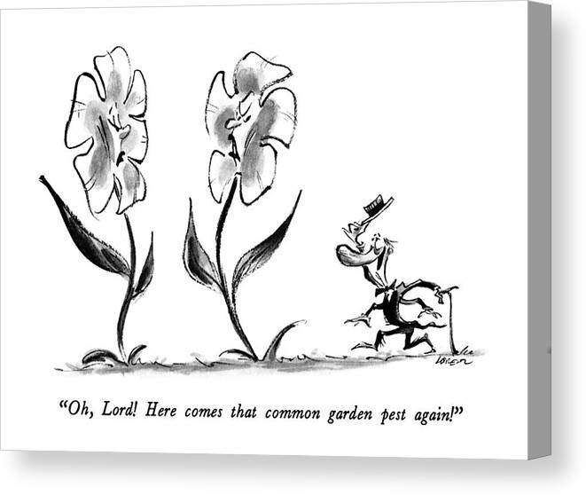 

 Insect With Cane Tips His Hat As He Approaches Flowers. They Are Unimpressed. 
Pests Canvas Print featuring the drawing Oh, Lord! Here Comes That Common Garden Pest by Lee Lorenz