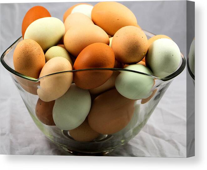 Organic Canvas Print featuring the photograph Organic Eggs from locally harvested pasture raised chickens by Ricky L Jones
