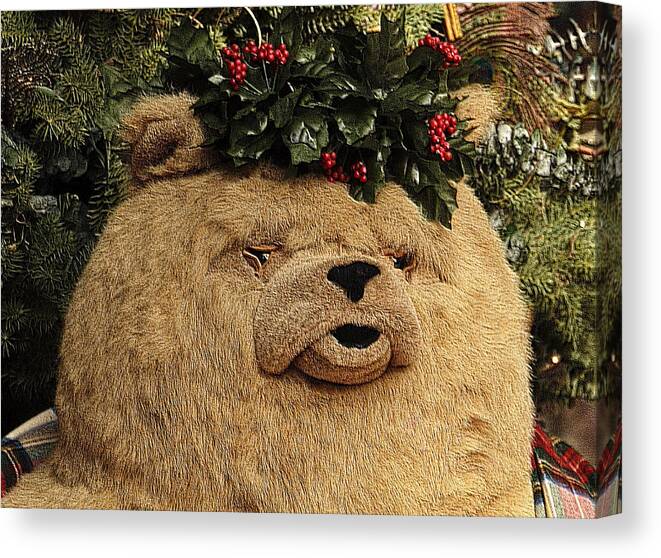 Christmas Canvas Print featuring the photograph Papa Bear Gets Christmas Spirit by Nadalyn Larsen