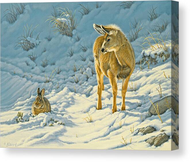 Wildlife Canvas Print featuring the painting Passing Curiosity by Paul Krapf