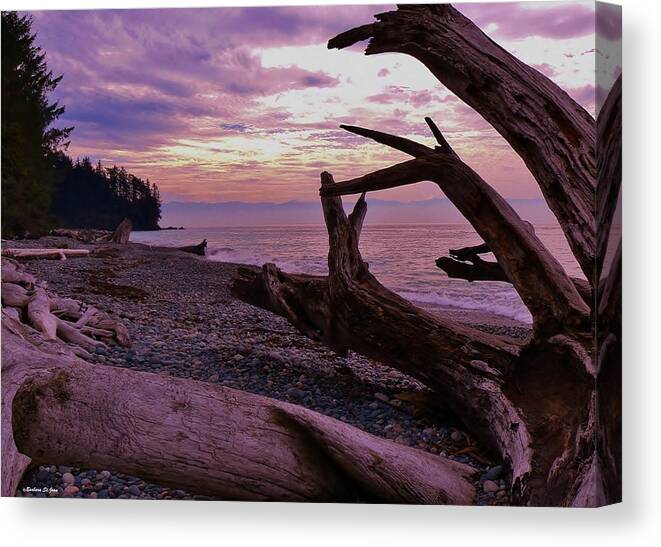 Purple Dreams In Bc Canvas Print featuring the photograph Purple Dreams in BC by Barbara St Jean