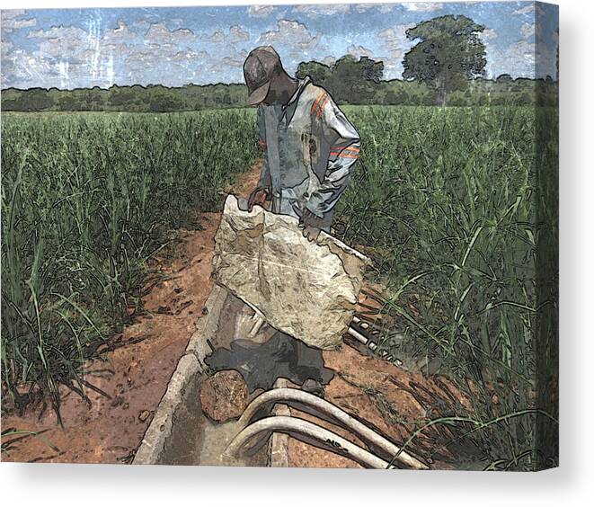 African Canvas Print featuring the photograph Raising Cane by Al Harden