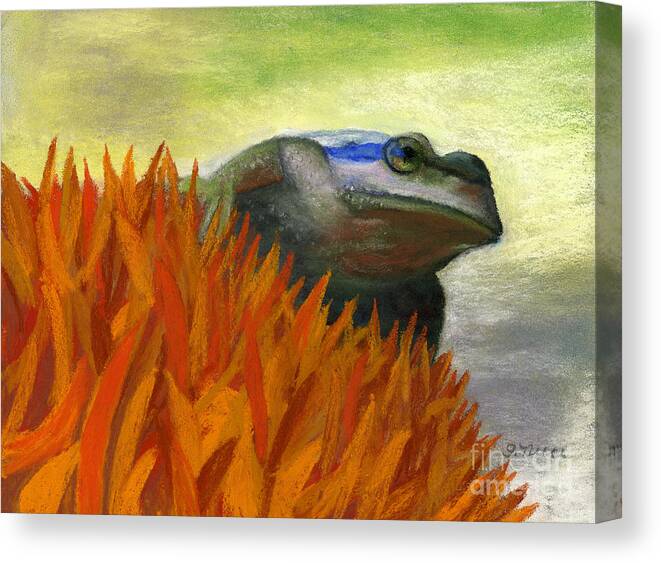Frog Canvas Print featuring the painting Ready to Jump by Ginny Neece