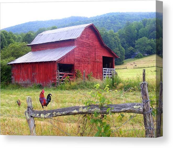 Duane Mccullough Canvas Print featuring the photograph Red Barn and Rooster by Duane McCullough