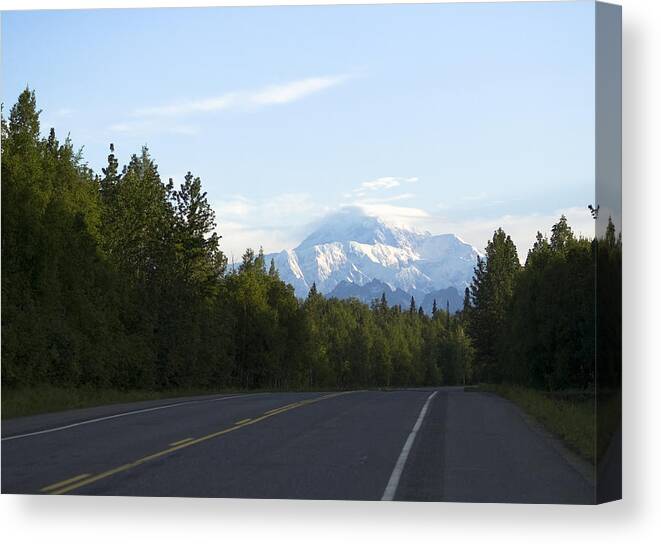 Alaska Canvas Print featuring the photograph Road to Denali by Tara Lynn