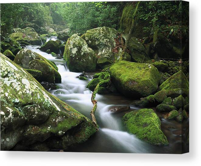 00174017 Canvas Print featuring the photograph Roaring Fork River by Tim Fitzharris