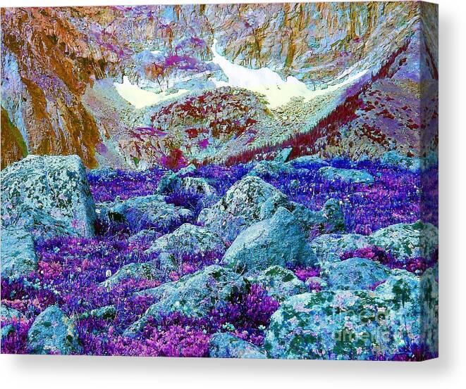 Stone Canvas Print featuring the photograph Rocky Mountain Boulders by Ann Johndro-Collins