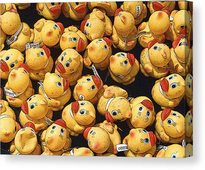 Beaks Canvas Print featuring the photograph Rubber Duckies Annual Race for Charity by Rob Huntley