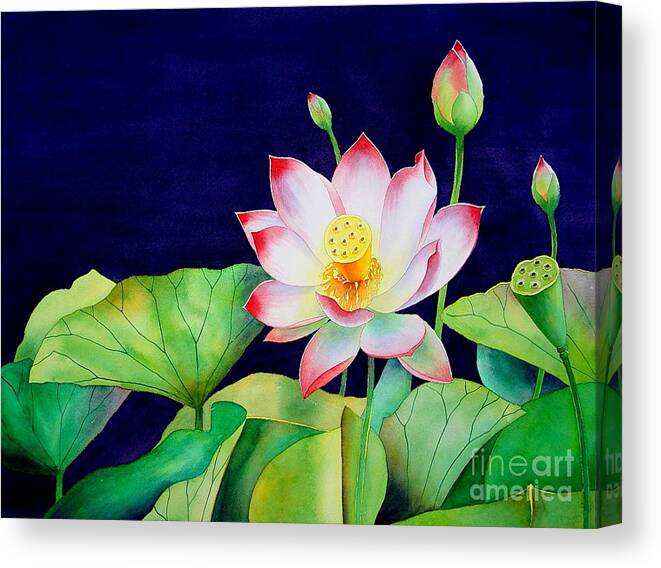 Watercolor Canvas Print featuring the painting Sacred Lotus by Robert Hooper