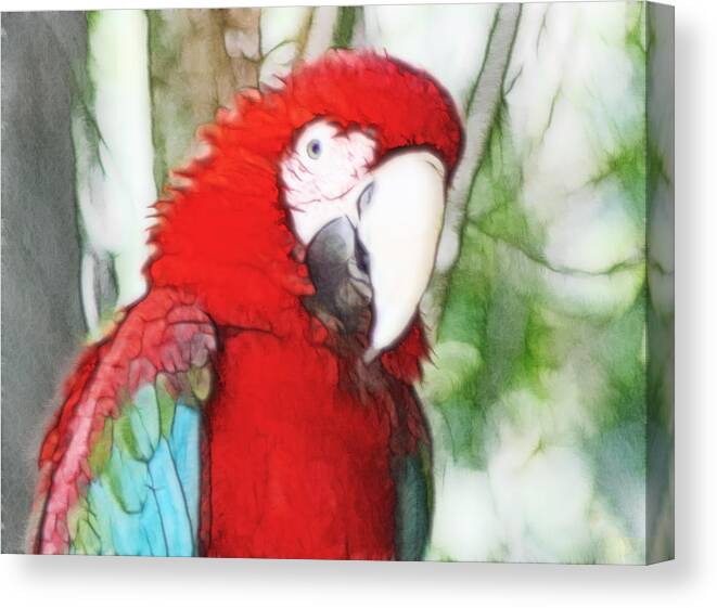 Scarlet Macaw Canvas Print featuring the digital art Scarlet Macaw by Photographic Art by Russel Ray Photos