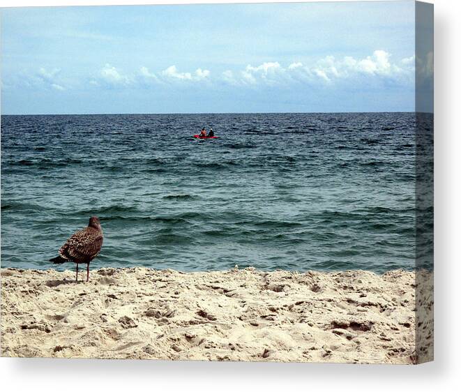 08.22.13_a 011 Canvas Print featuring the photograph Seagull And Kayak by Dorin Adrian Berbier