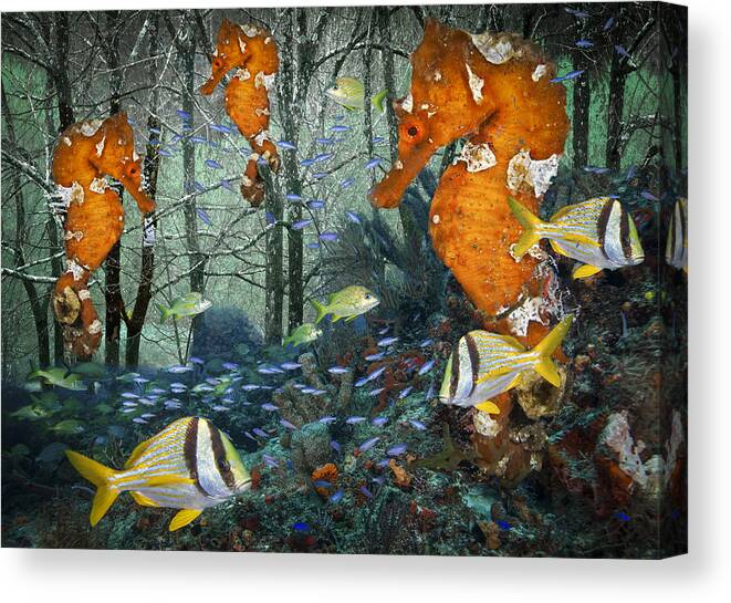 Fishing Canvas Print featuring the photograph Seahorse City by Debra and Dave Vanderlaan